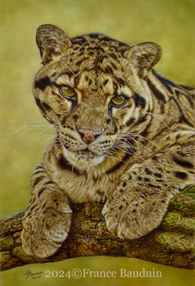 Clouded Leopard - 90.5 hours
Sand Pastelmat Board
19" x 13"
Ref: My own photo